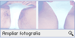 -- Ampliar Fotografia --