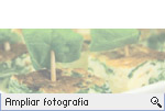-- Ampliar Fotografia --